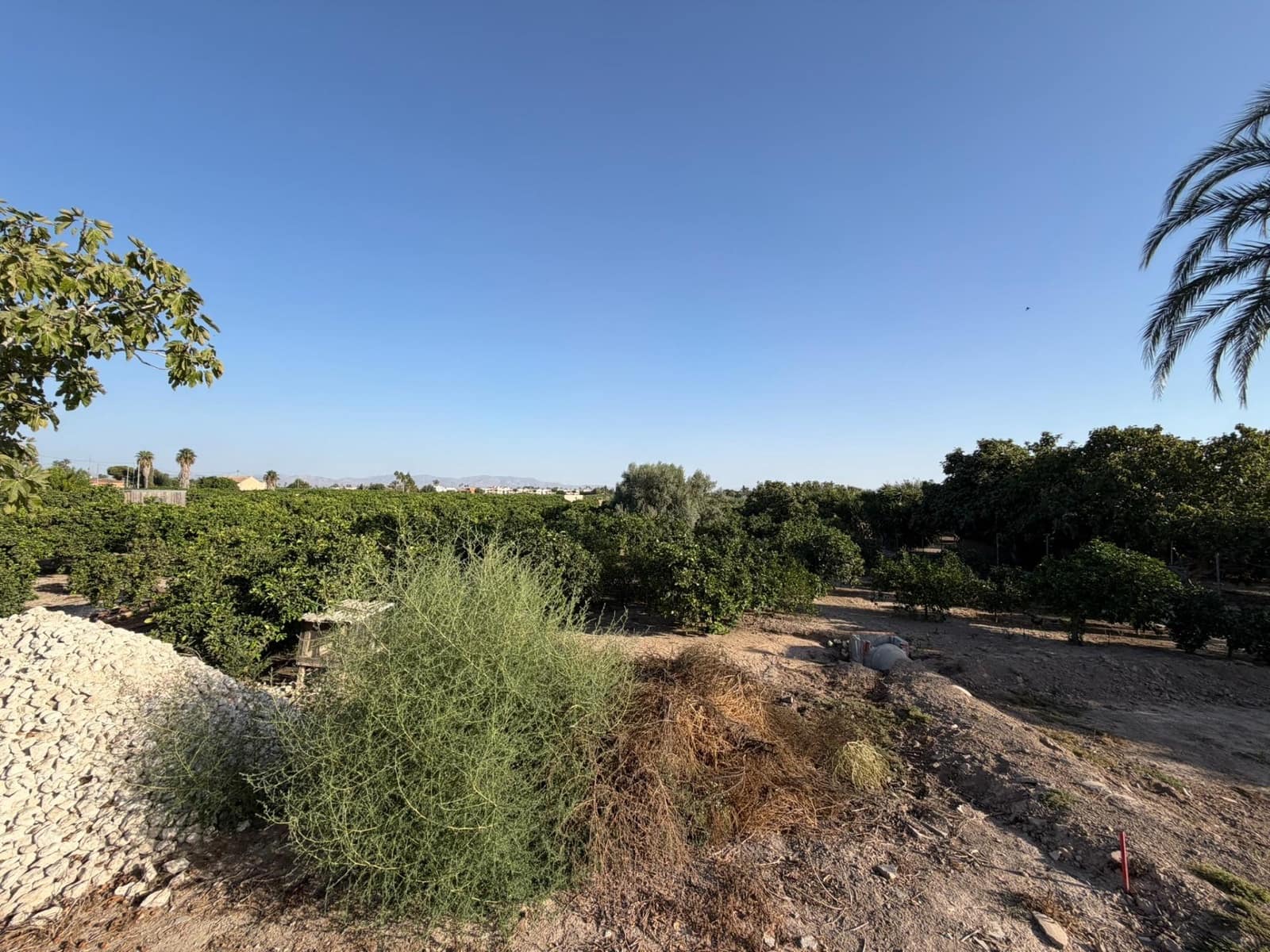 1 camera da letto Finca/Casa di Campagna in vendita in Formentera del Segura - 123.000 € (Rif: 10055262)