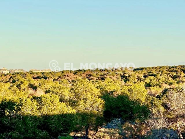 3 soverom Rekkehus til salgs i El Chaparral - La Siesta - La Torreta, Torrevieja - € 199 000 (Ref: 10142609)