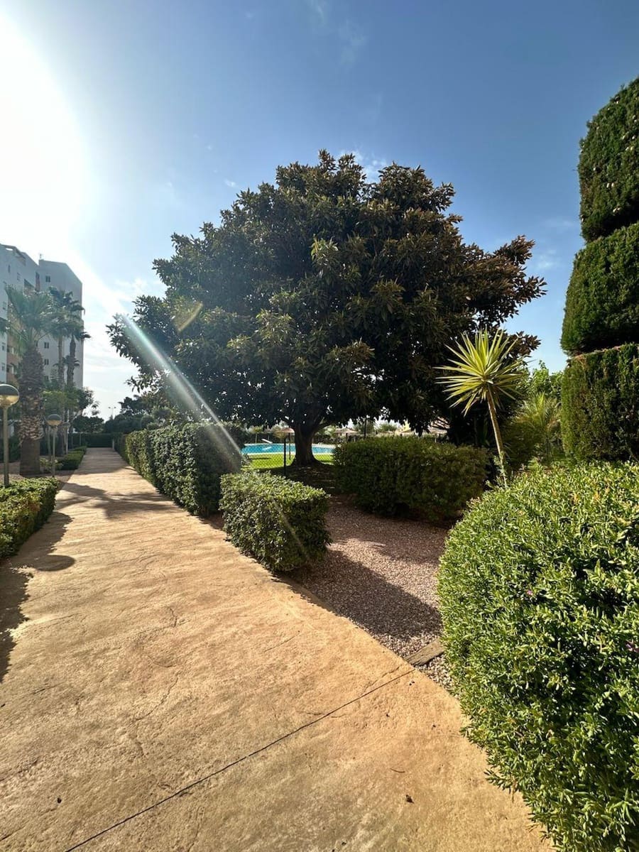 2 quarto Apartamento para venda em Guardamar del Segura com piscina garagem - 229 000 € (Ref: 10177132)