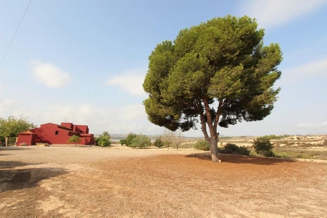Chalet de 4 habitaciones en San Miguel de Salinas en venta con piscina - 2.169.000 € (Ref: 7436880)