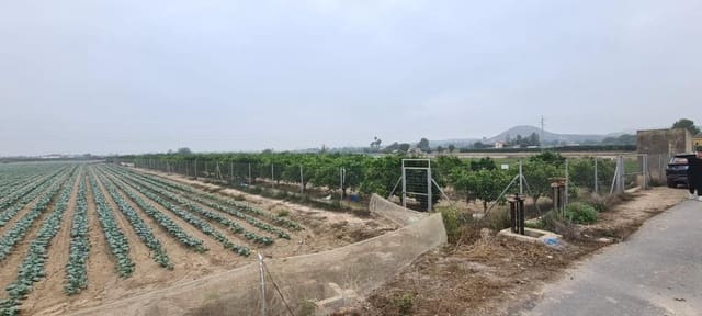 Rakentamaton maa myytävänä paikassa Rojales - 49 900 € (Ref: 7437001)