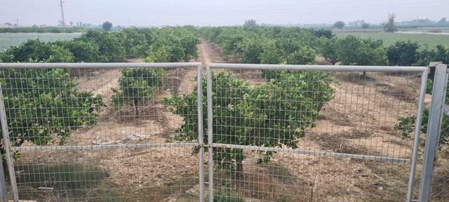 Rakentamaton maa myytävänä paikassa Rojales - 49 900 € (Ref: 7437001)