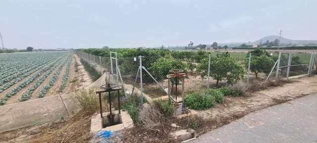 Rakentamaton maa myytävänä paikassa Rojales - 49 900 € (Ref: 7437001)