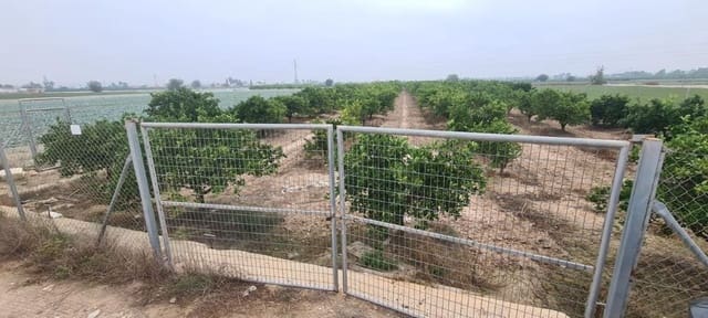 Rakentamaton maa myytävänä paikassa Rojales - 49 900 € (Ref: 7437001)