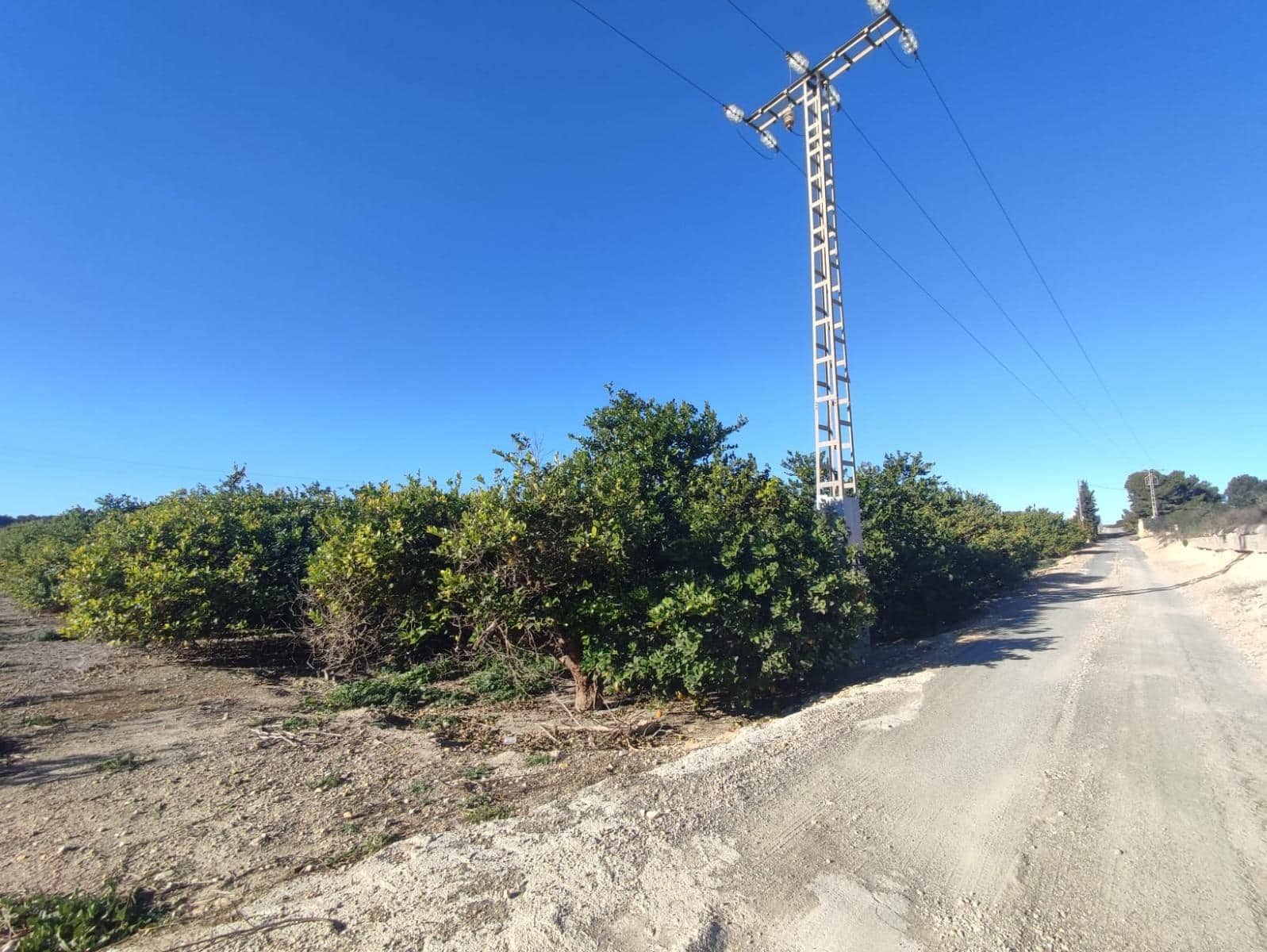 3 sypialnia Finka/Dom wiejski na sprzedaż w Algorfa z garażem - 650 000 € (Ref: 7437042)