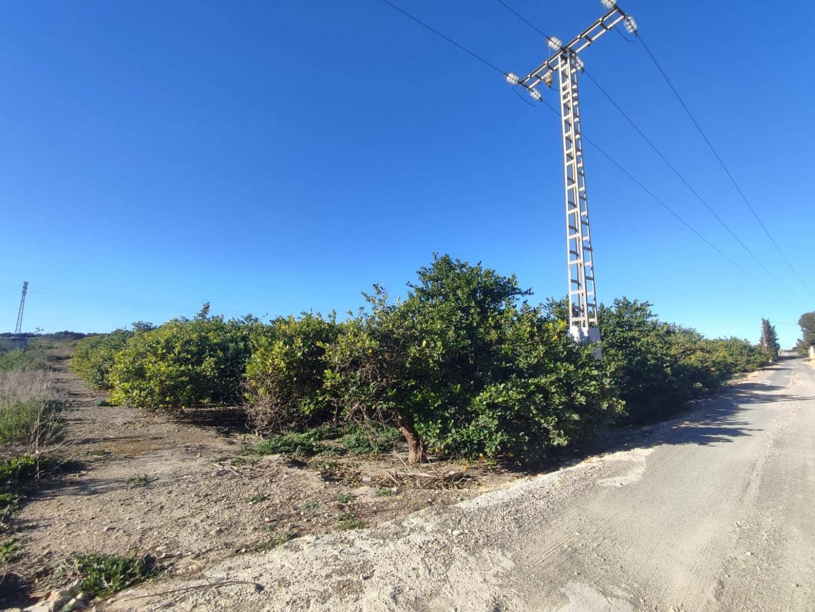 3 sypialnia Finka/Dom wiejski na sprzedaż w Algorfa z garażem - 650 000 € (Ref: 7437042)