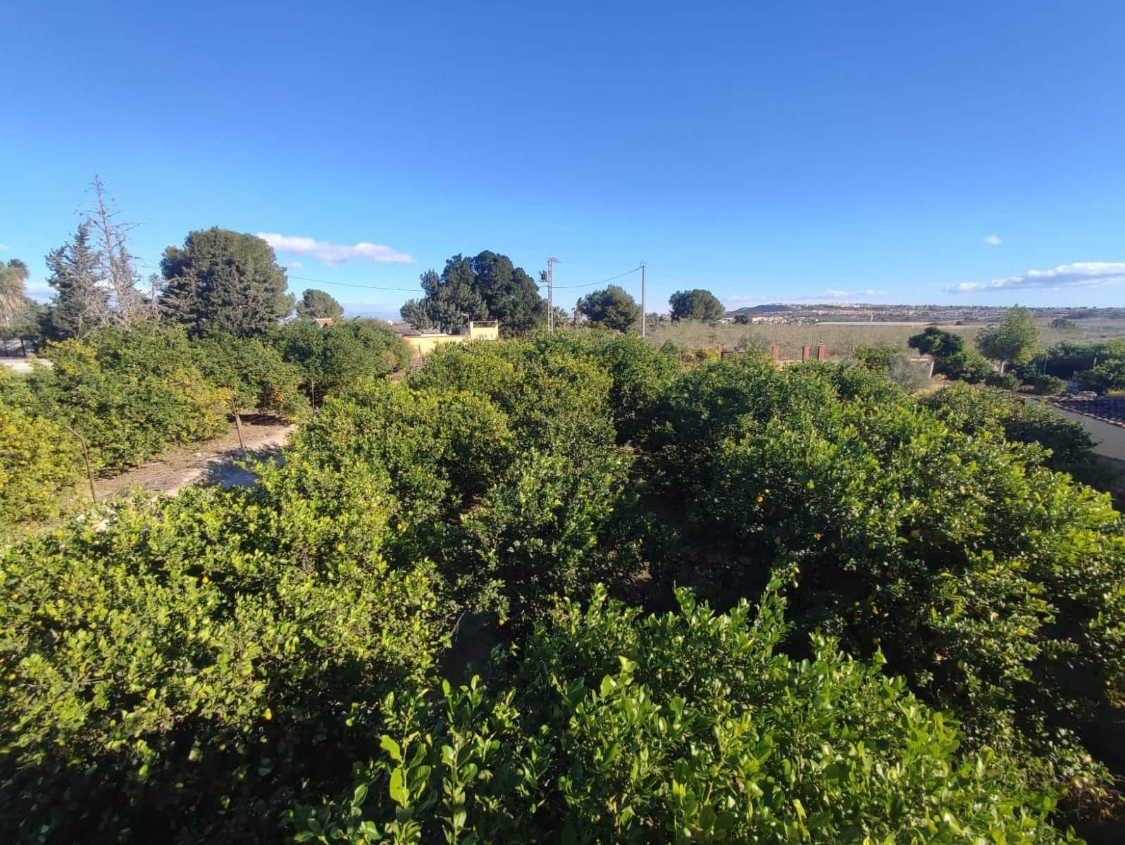 3 sypialnia Finka/Dom wiejski na sprzedaż w Algorfa z garażem - 650 000 € (Ref: 7437042)