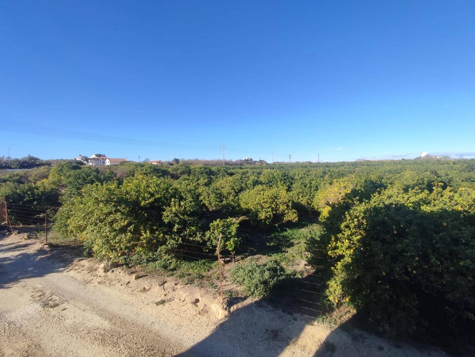 3 sypialnia Finka/Dom wiejski na sprzedaż w Algorfa z garażem - 650 000 € (Ref: 7437042)