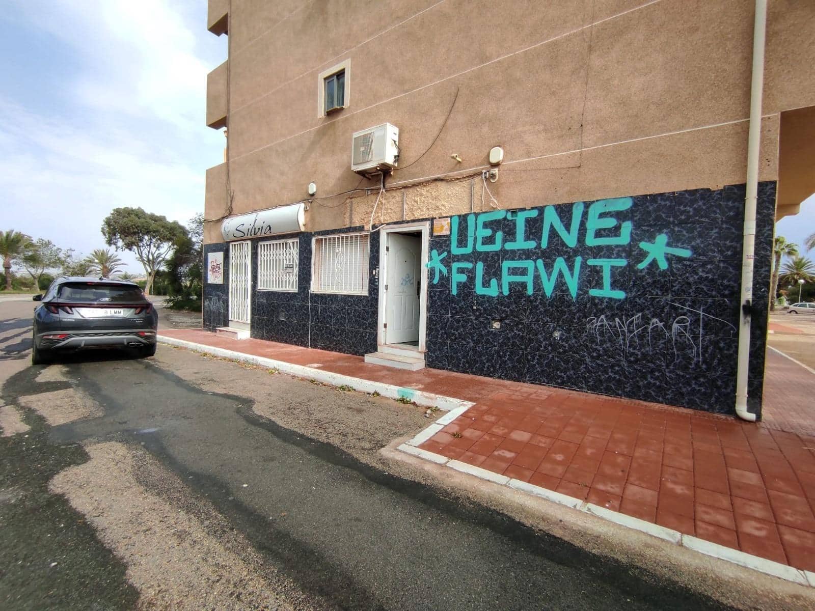 4 sypialnia Komercyjne na sprzedaż w Guardamar del Segura - 148 000 € (Ref: 7480674)