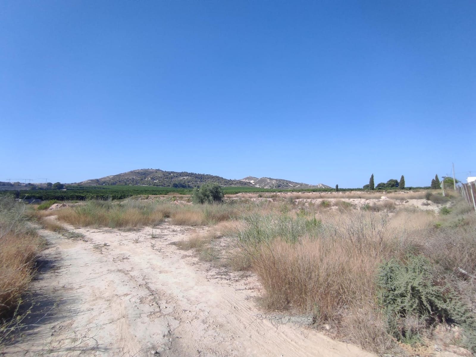 Landgrundstück zu verkaufen in Algorfa - 95.000 € (Ref: 7774543)