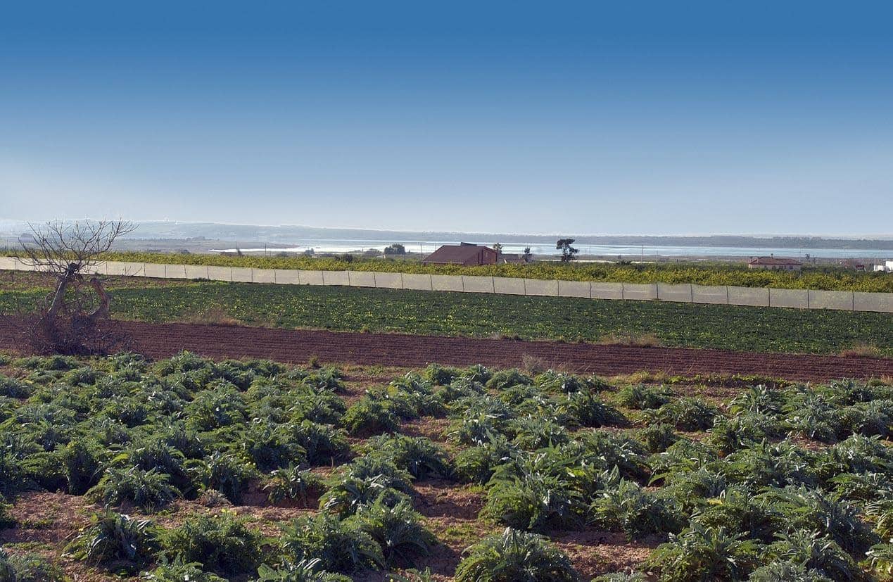 4 soverom Bungalow til salgs i Guardamar del Segura - € 233 000 (Ref: 8067046)