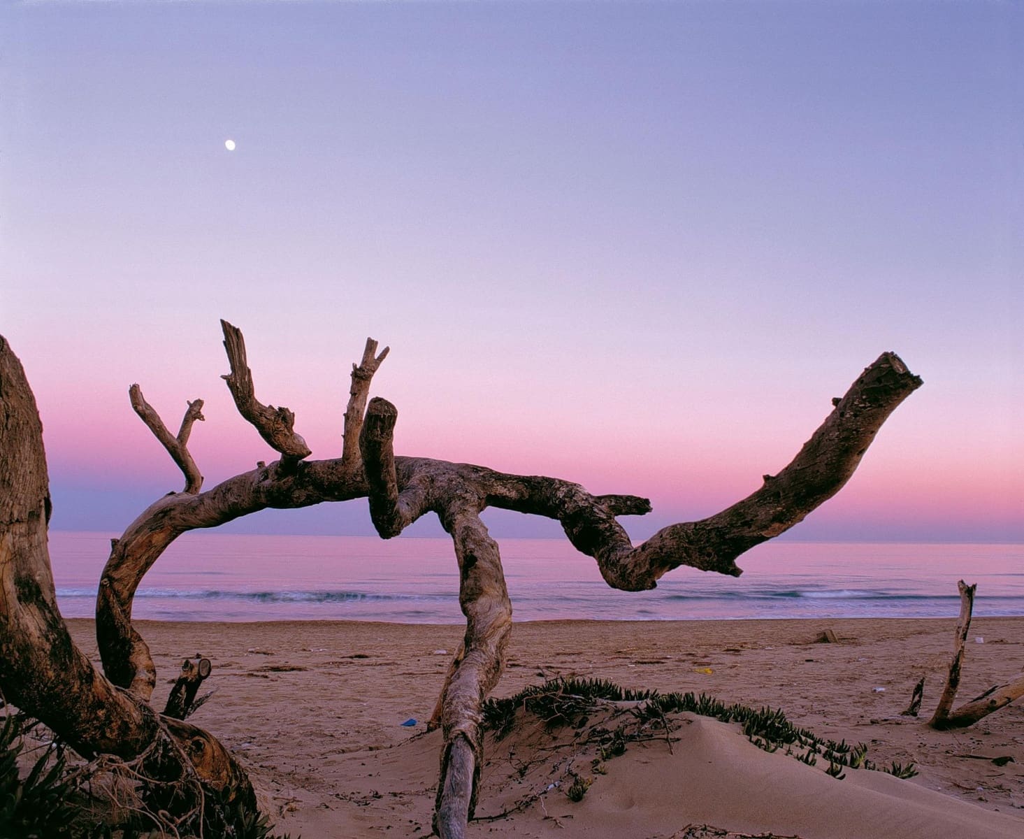 4 soverom Bungalow til salgs i Guardamar del Segura - € 233 000 (Ref: 8067046)