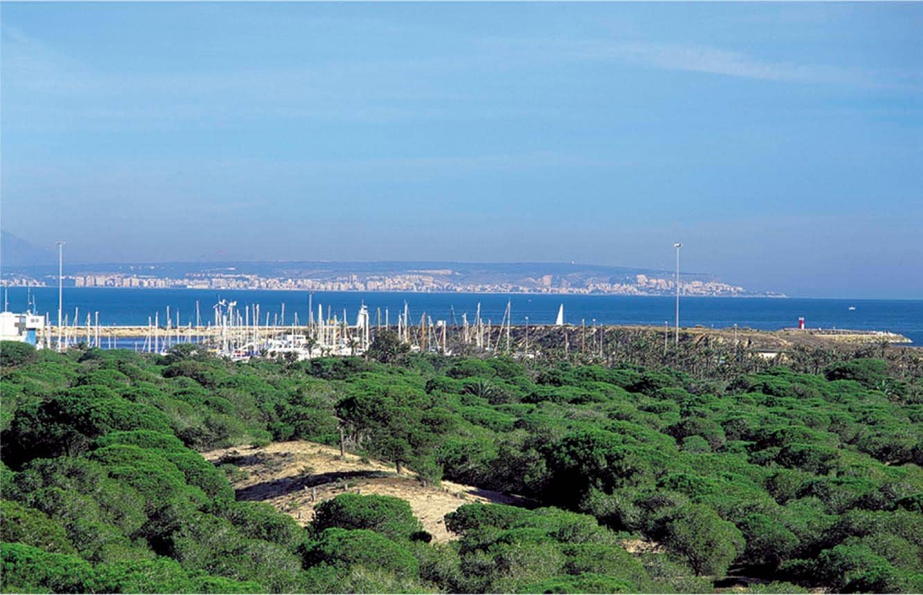 4 soverom Bungalow til salgs i Guardamar del Segura - € 233 000 (Ref: 8067046)