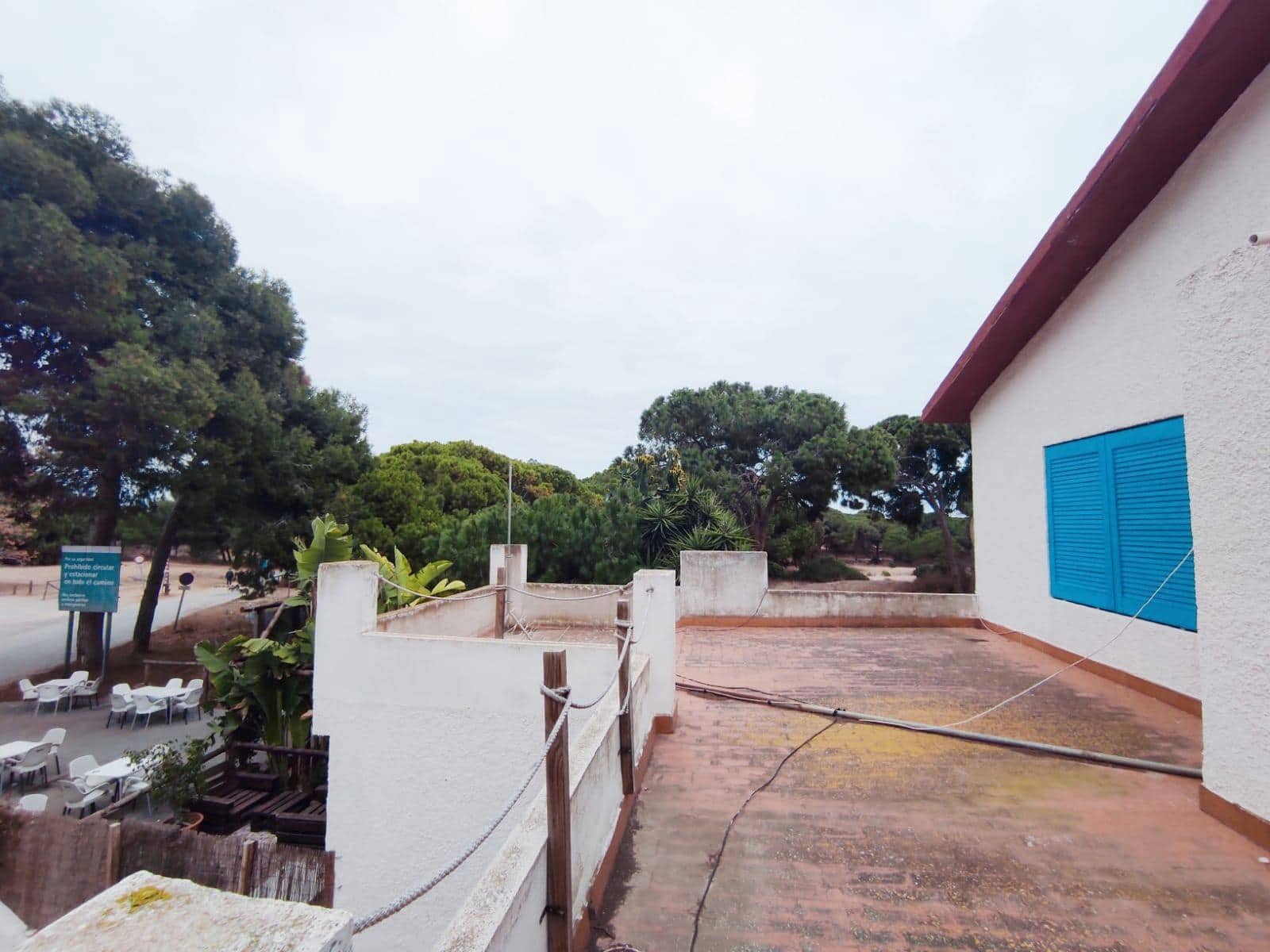 Hotel en Guardamar del Segura en venta - 335.000 € (Ref: 8069086)