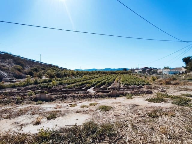 Finca/Country House for sale in Los Desamparados, Orihuela - € 140,000 (Ref: 8247635)