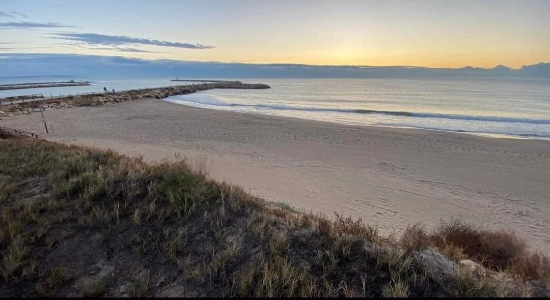 Kommersiell til salgs i Guardamar del Segura - € 275 000 (Ref: 8303148)