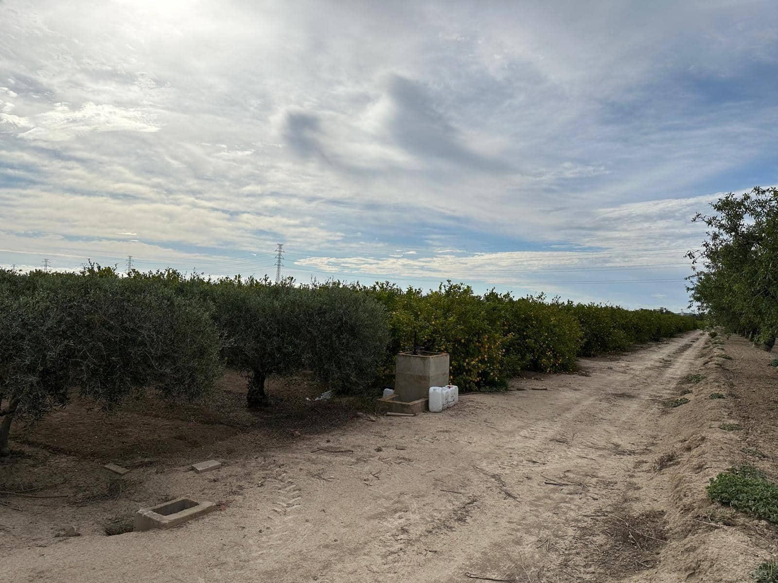 Finka/Dom wiejski na sprzedaż w San Miguel de Salinas - 230 000 € (Ref: 8322769)