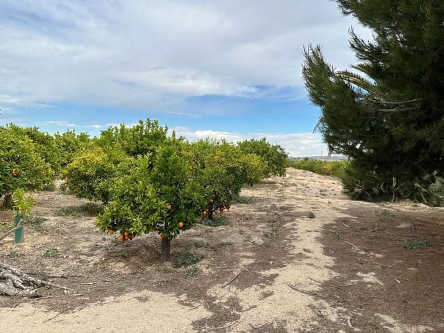 Finca/Hus på landet till salu i San Miguel de Salinas - 230 000 € (Ref: 8322769)