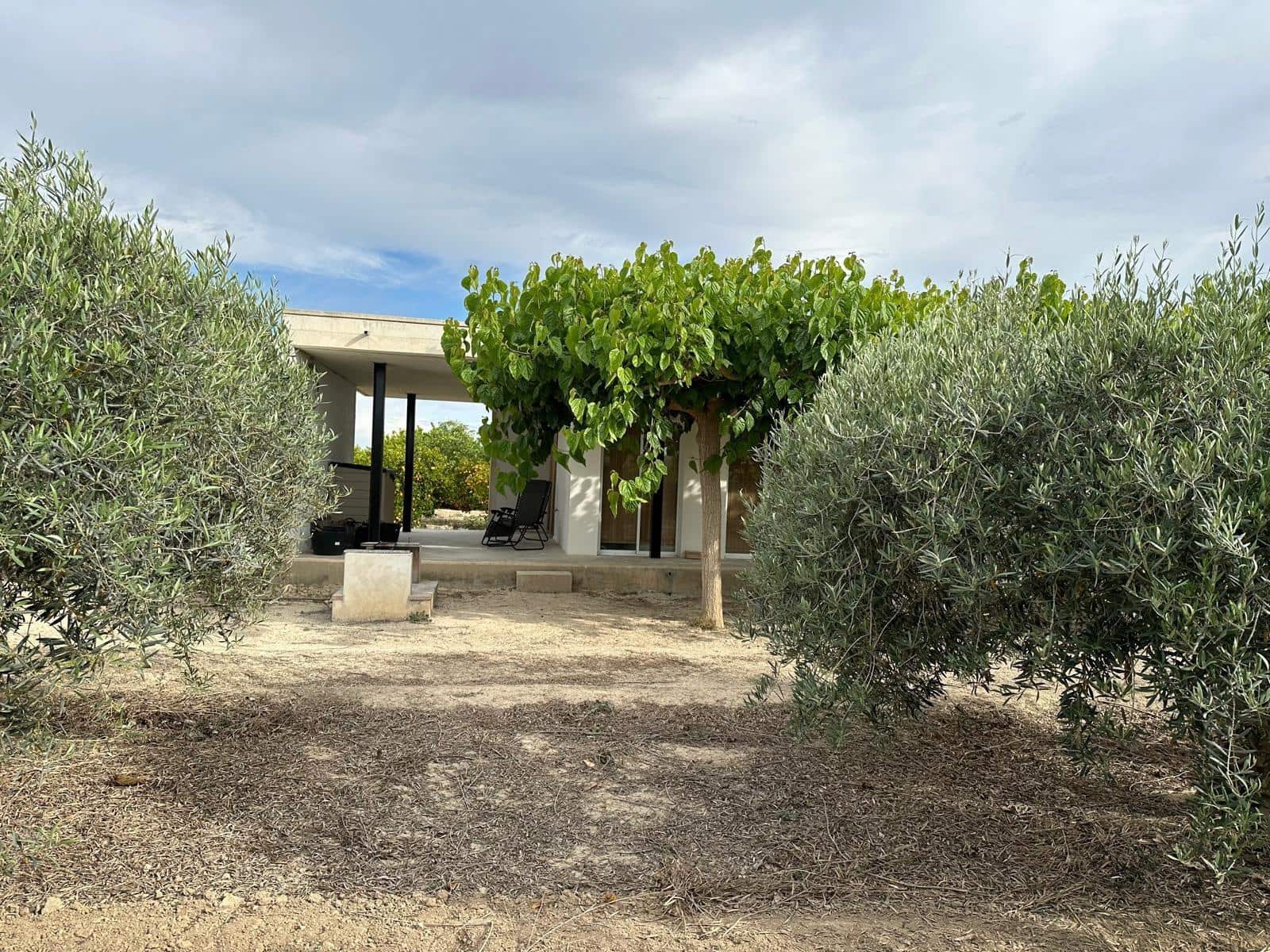 Finka/Dom wiejski na sprzedaż w San Miguel de Salinas - 230 000 € (Ref: 8322769)