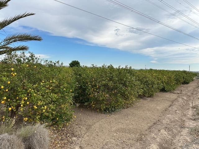 Finca/Hus på landet till salu i San Miguel de Salinas - 230 000 € (Ref: 8322769)