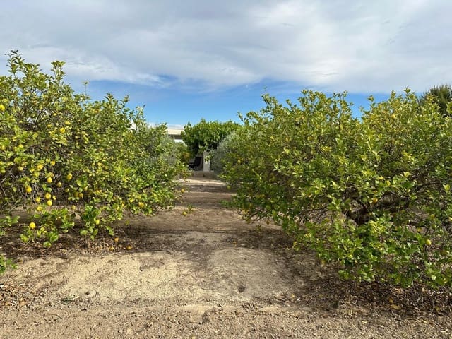 Finca/Hus på landet till salu i San Miguel de Salinas - 230 000 € (Ref: 8322769)