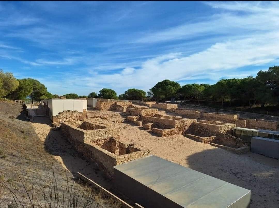 Comercial para venda em Guardamar del Segura com garagem - 173 000 € (Ref: 8363507)
