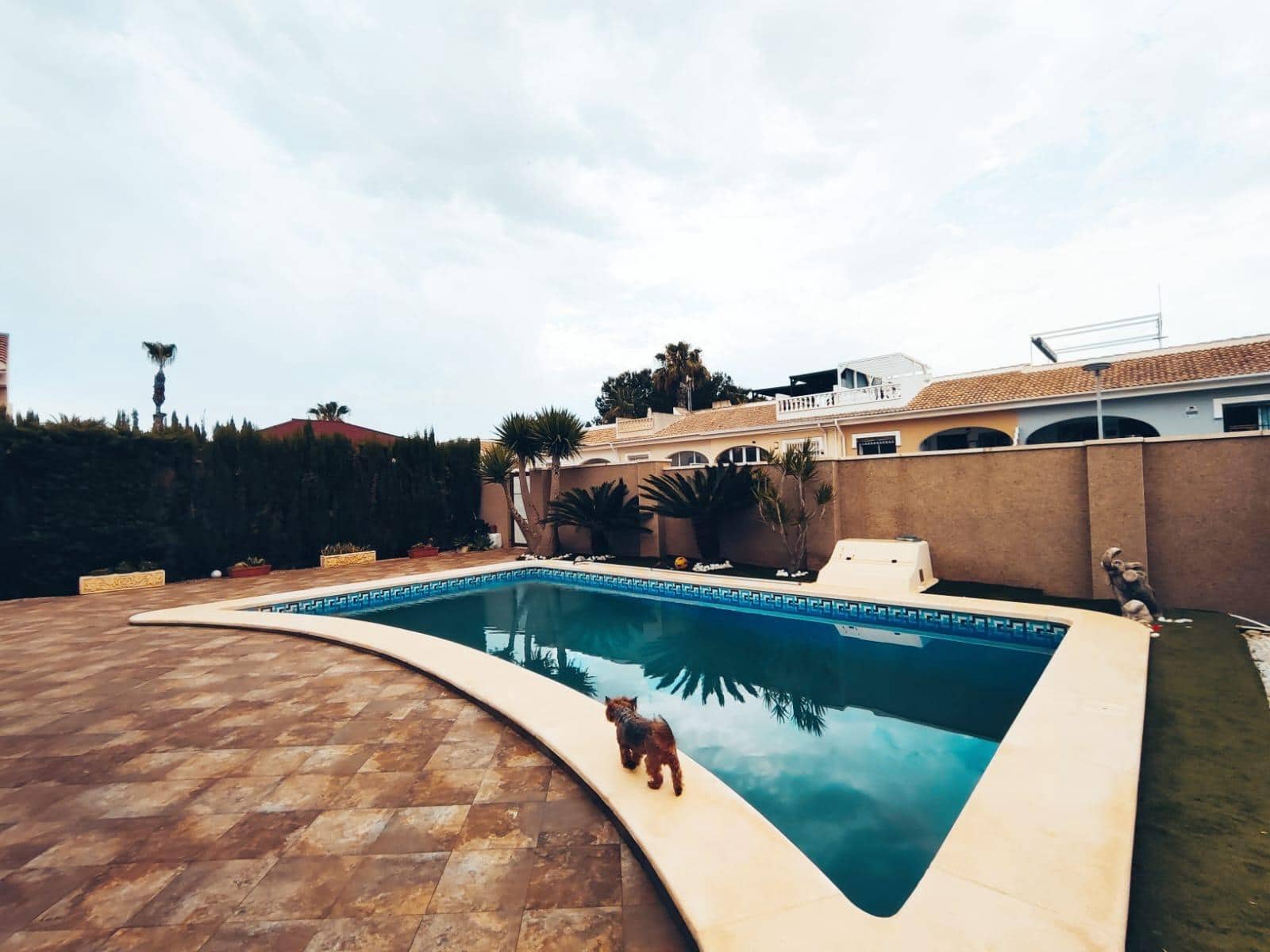 3 bedroom Villa for sale in Benijofar with pool - € 350,000 (Ref: 8371137)