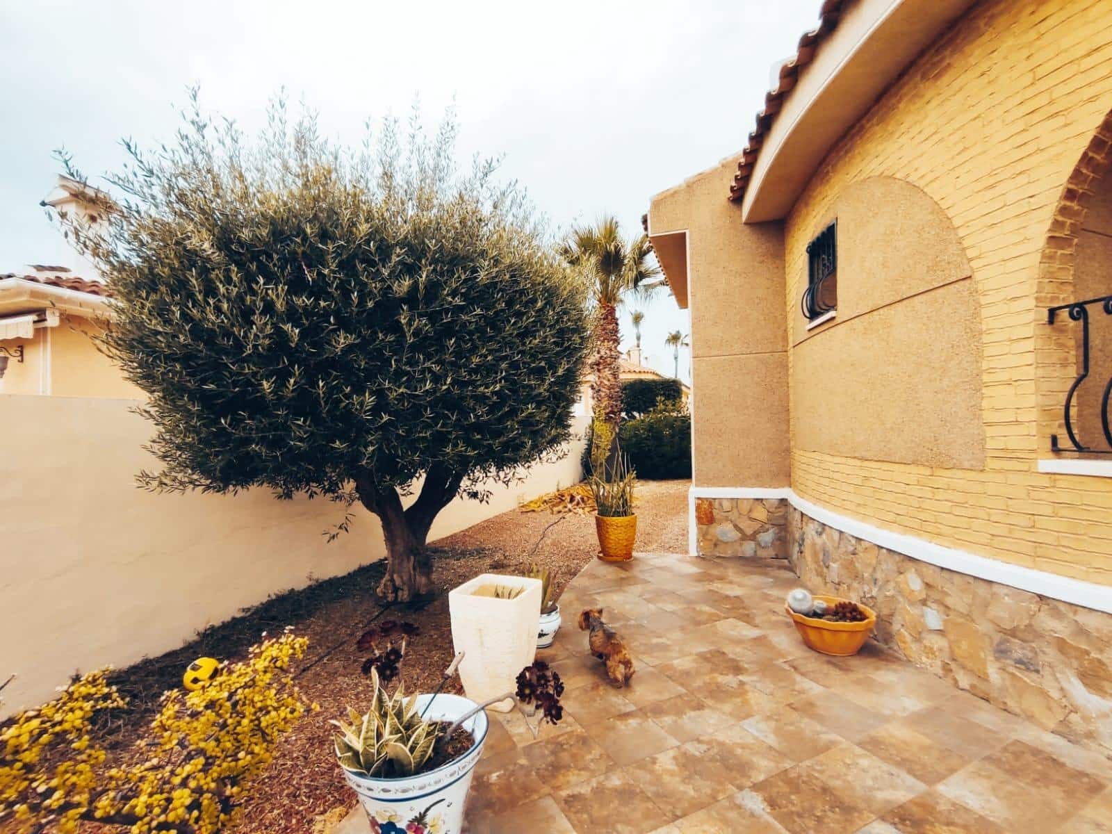 3 bedroom Villa for sale in Benijofar with pool - € 350,000 (Ref: 8371137)