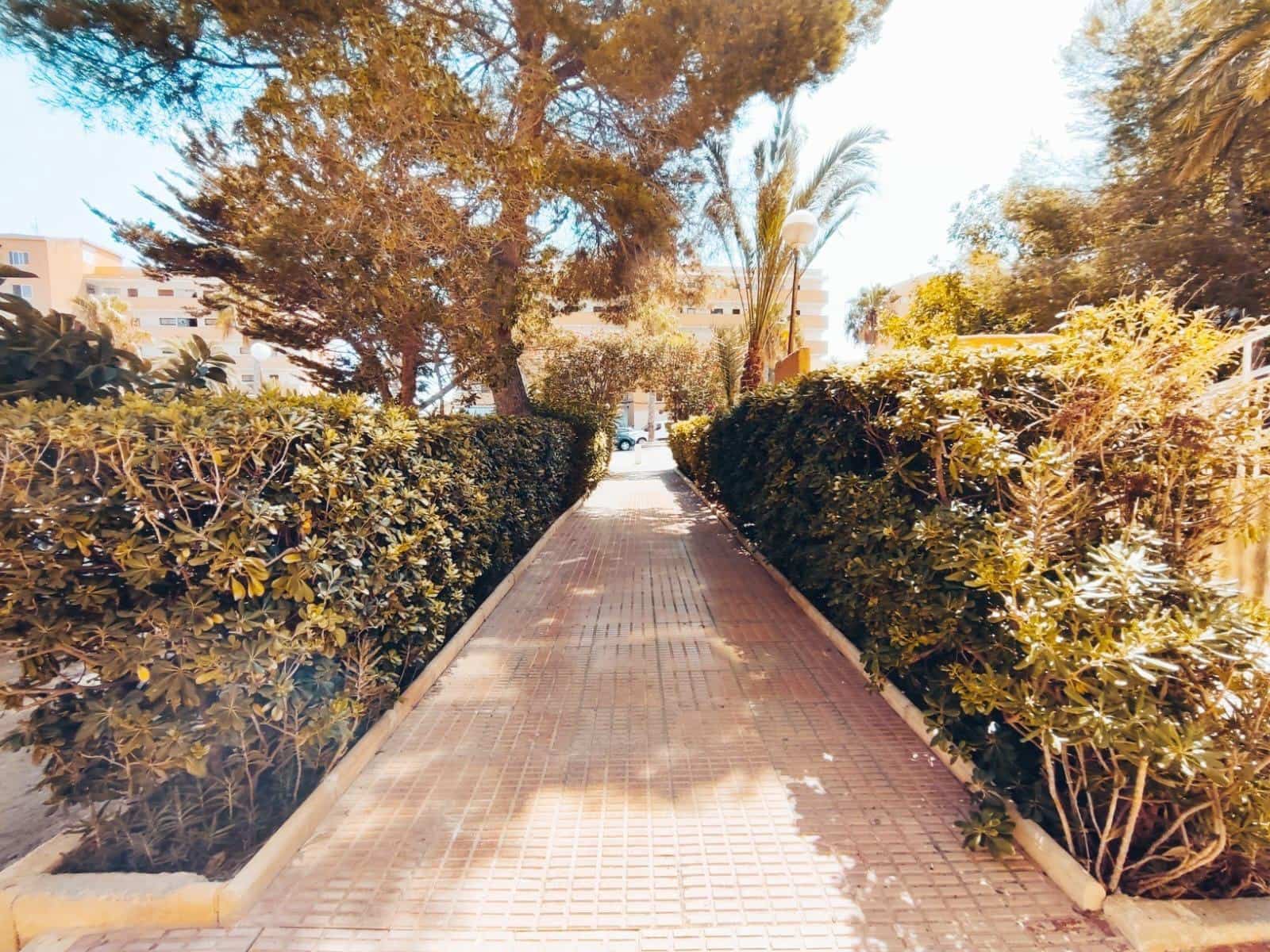 Apartamento de 2 habitaciones en Guardamar del Segura en venta - 139.000 € (Ref: 8457130)