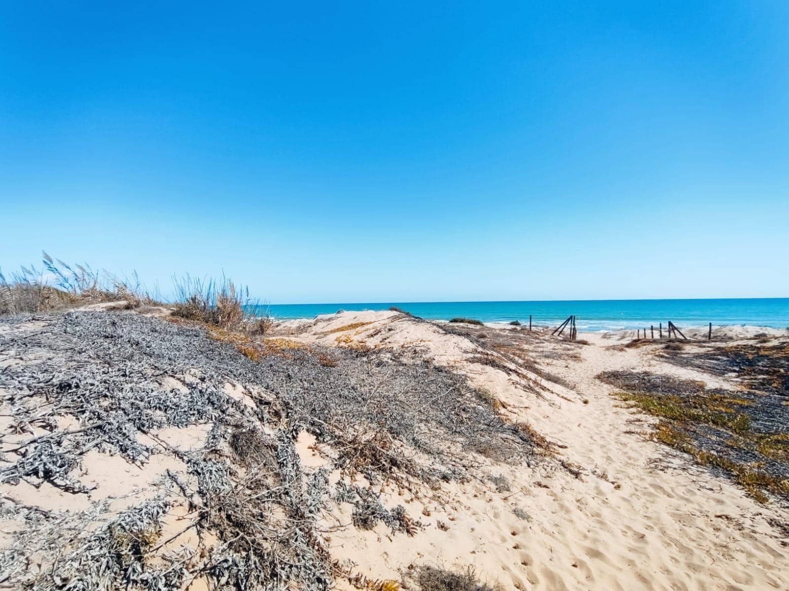 5 soveværelse Finca/Landehus til salg i Guardamar del Segura - € 499.900 (Ref: 8572402)