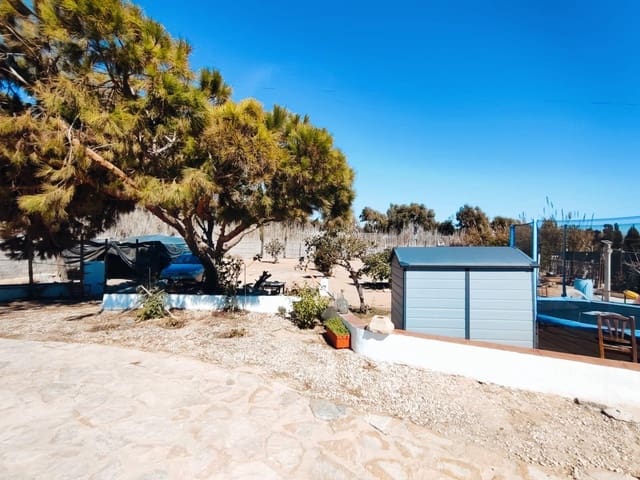 5 slaapkamer Finca/Landhuis te koop in Guardamar del Segura - € 499.900 (Ref: 8572402)