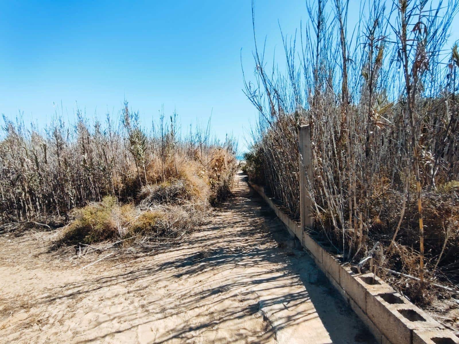 5 soveværelse Finca/Landehus til salg i Guardamar del Segura - € 499.900 (Ref: 8572402)