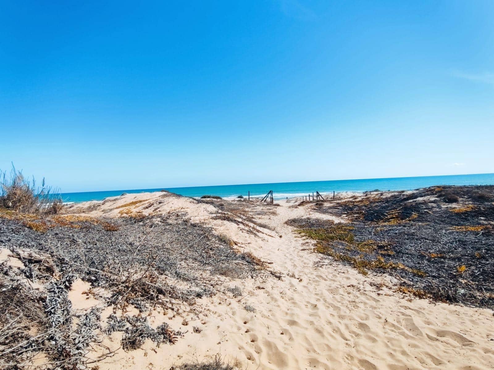 5 soveværelse Finca/Landehus til salg i Guardamar del Segura - € 499.900 (Ref: 8572402)