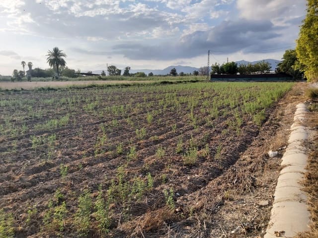 Bouwgrond te koop in San Felipe Neri, Crevillente / Crevillent - € 150.000 (Ref: 8589151)