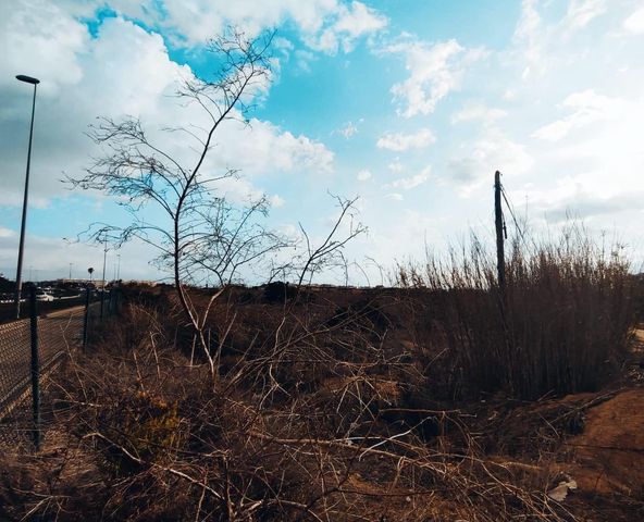 Undeveloped Land for sale in Guardamar del Segura - € 750,000 (Ref: 8662419)