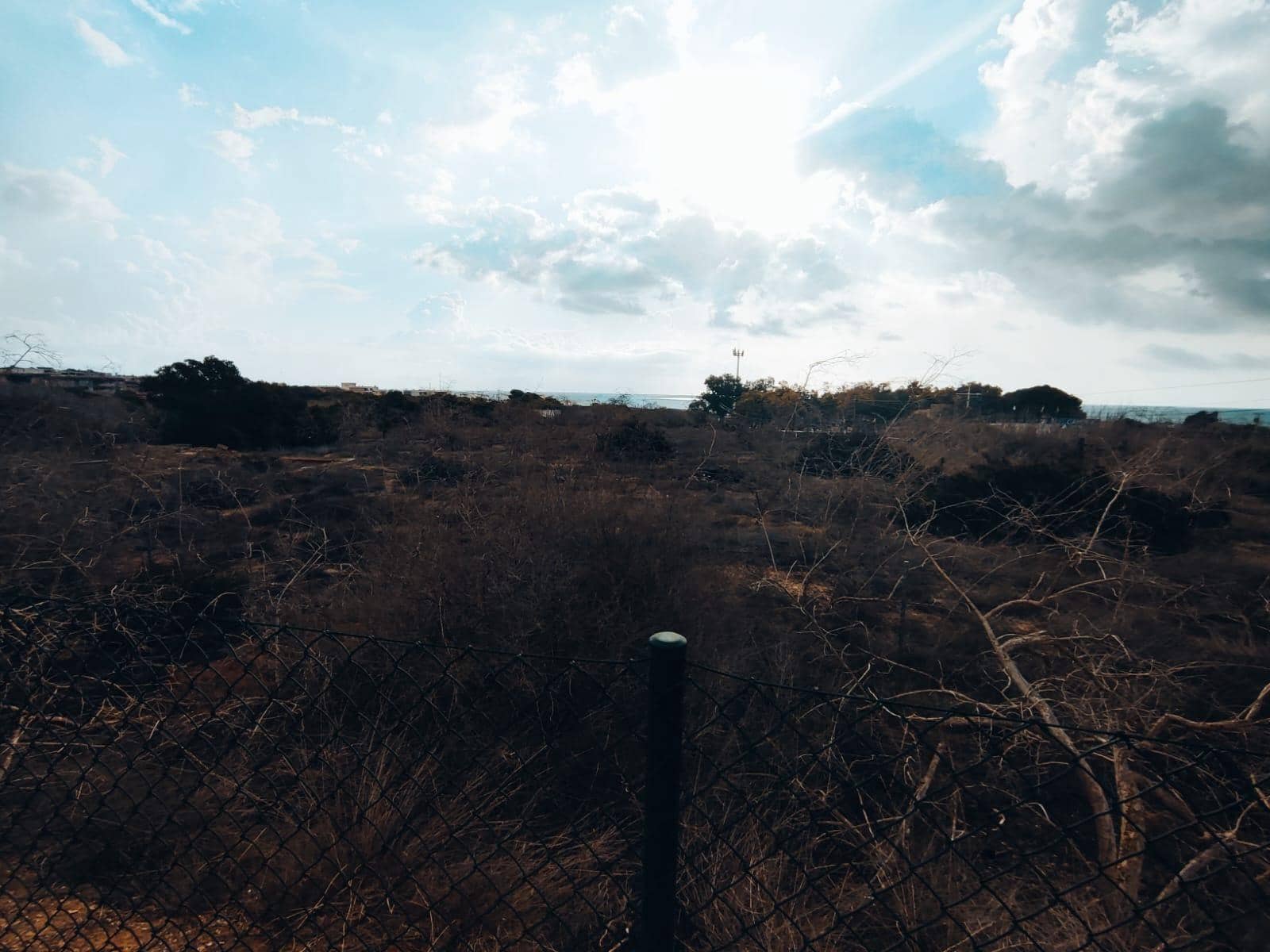 Ubebygd land til salgs i Guardamar del Segura - € 750 000 (Ref: 8662419)