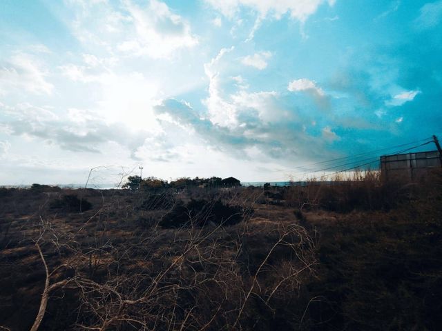 Undeveloped Land for sale in Guardamar del Segura - € 750,000 (Ref: 8662419)