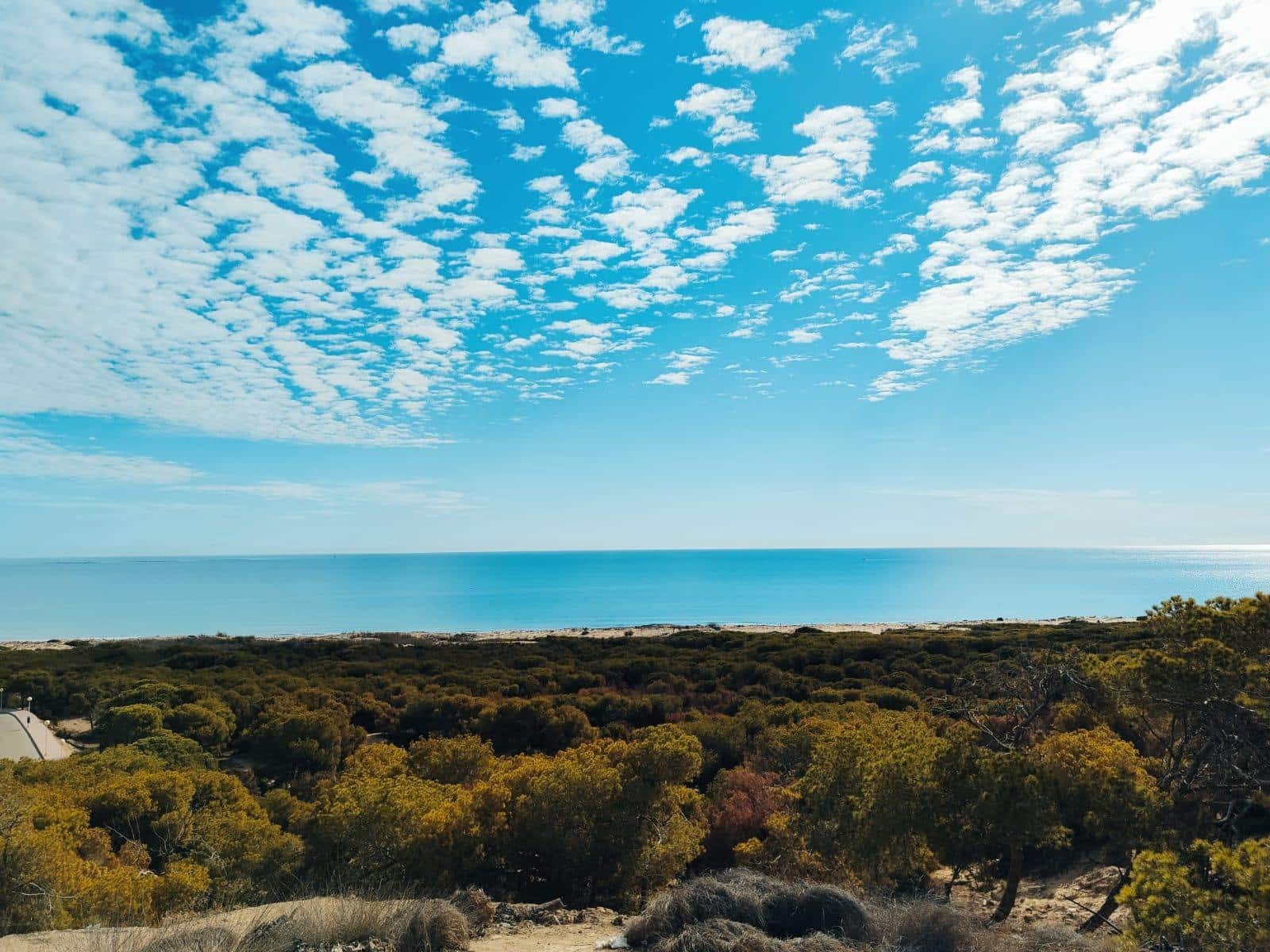 2 soveværelse Lejlighed til salg i Torrevieja med swimmingpool - € 186.000 (Ref: 8789490)