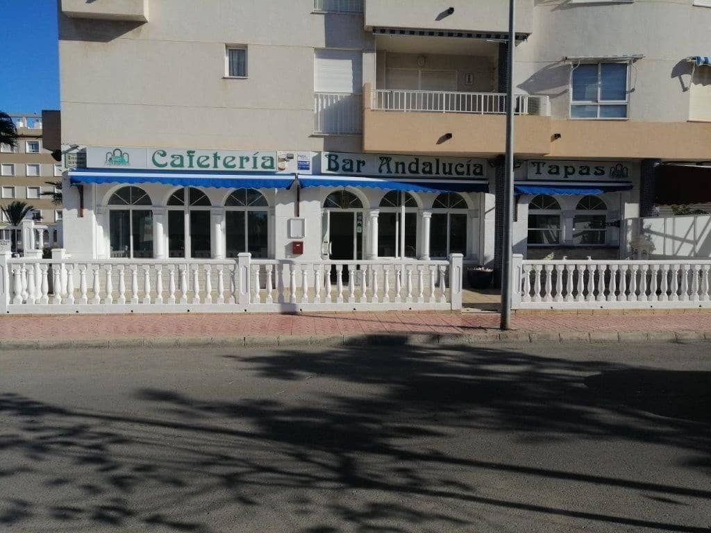 Empresa para venda em Guardamar del Segura - 192 000 € (Ref: 8834399)