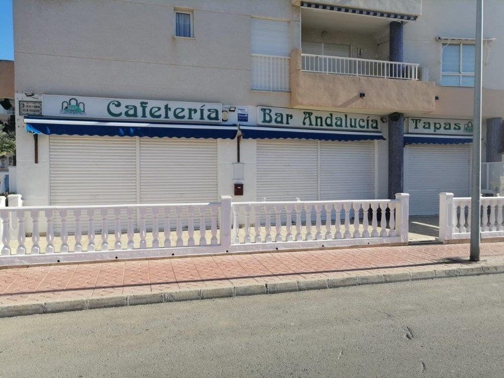 Empresa para venda em Guardamar del Segura - 192 000 € (Ref: 8834399)