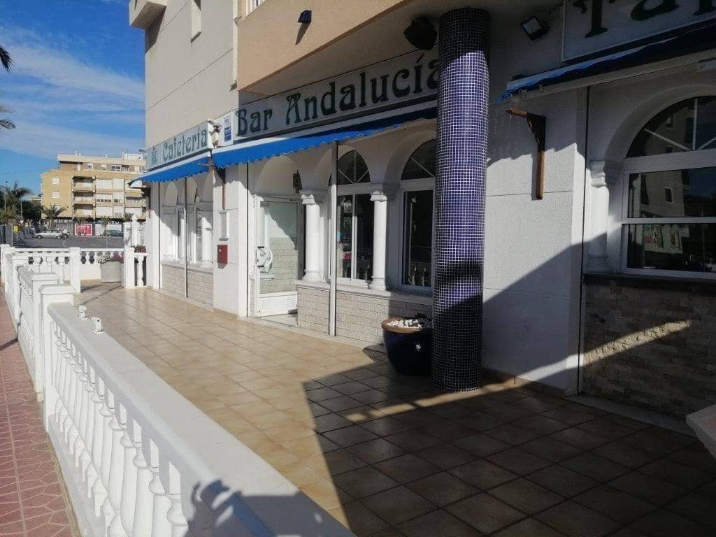 Empresa para venda em Guardamar del Segura - 192 000 € (Ref: 8834399)