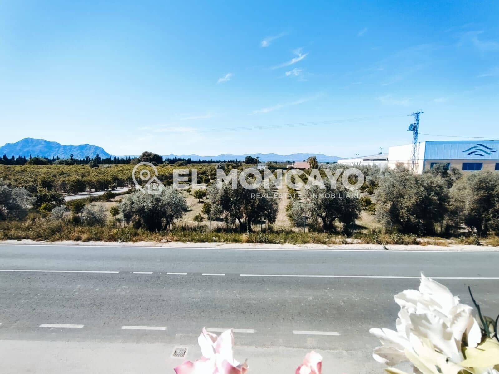 5 sypialnia Dom na sprzedaż w Almoradi - 190 000 € (Ref: 9003476)