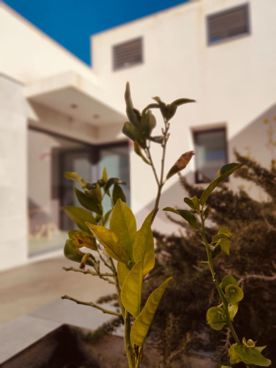 4 Zimmer Villa zu verkaufen in Ciudad Quesada mit Pool - 689.900 € (Ref: 9029844)