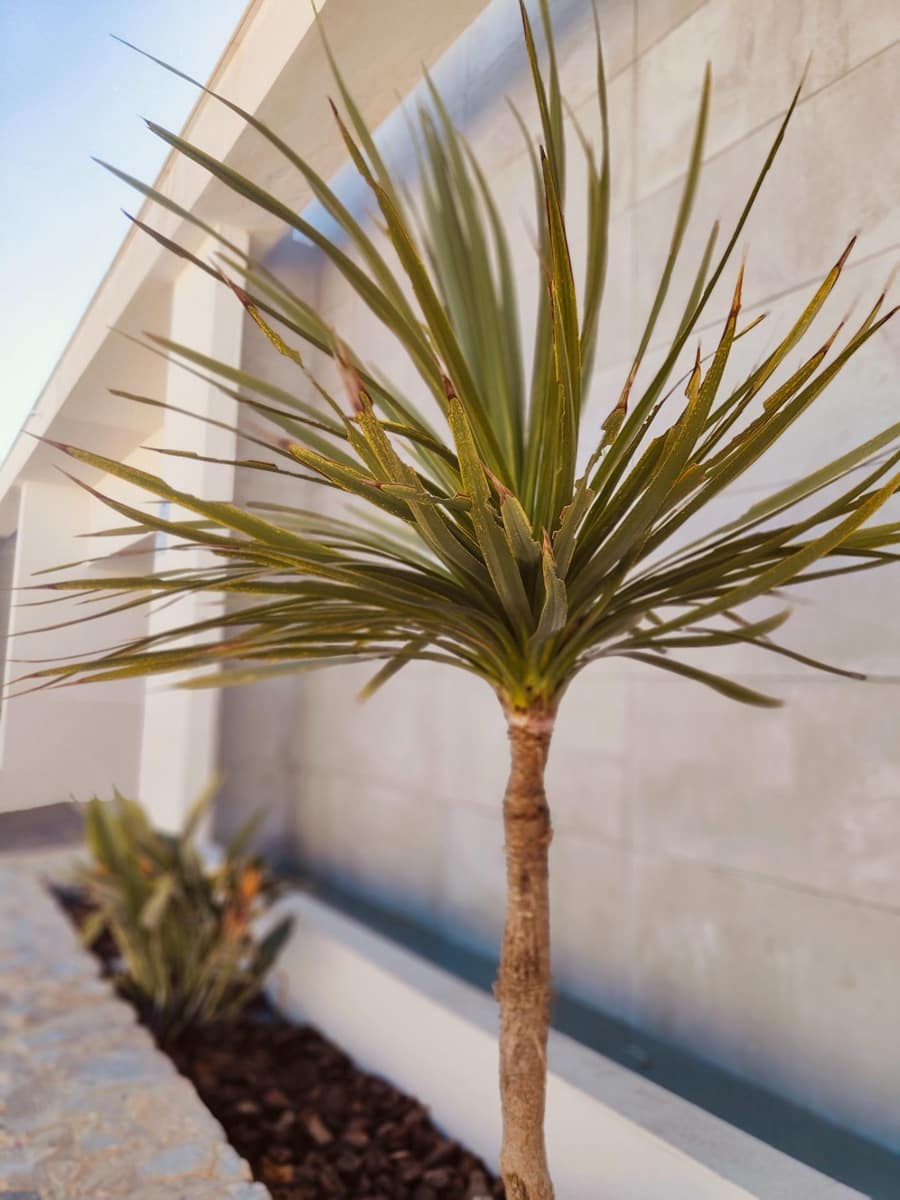 4 Zimmer Villa zu verkaufen in Ciudad Quesada mit Pool - 689.900 € (Ref: 9029844)