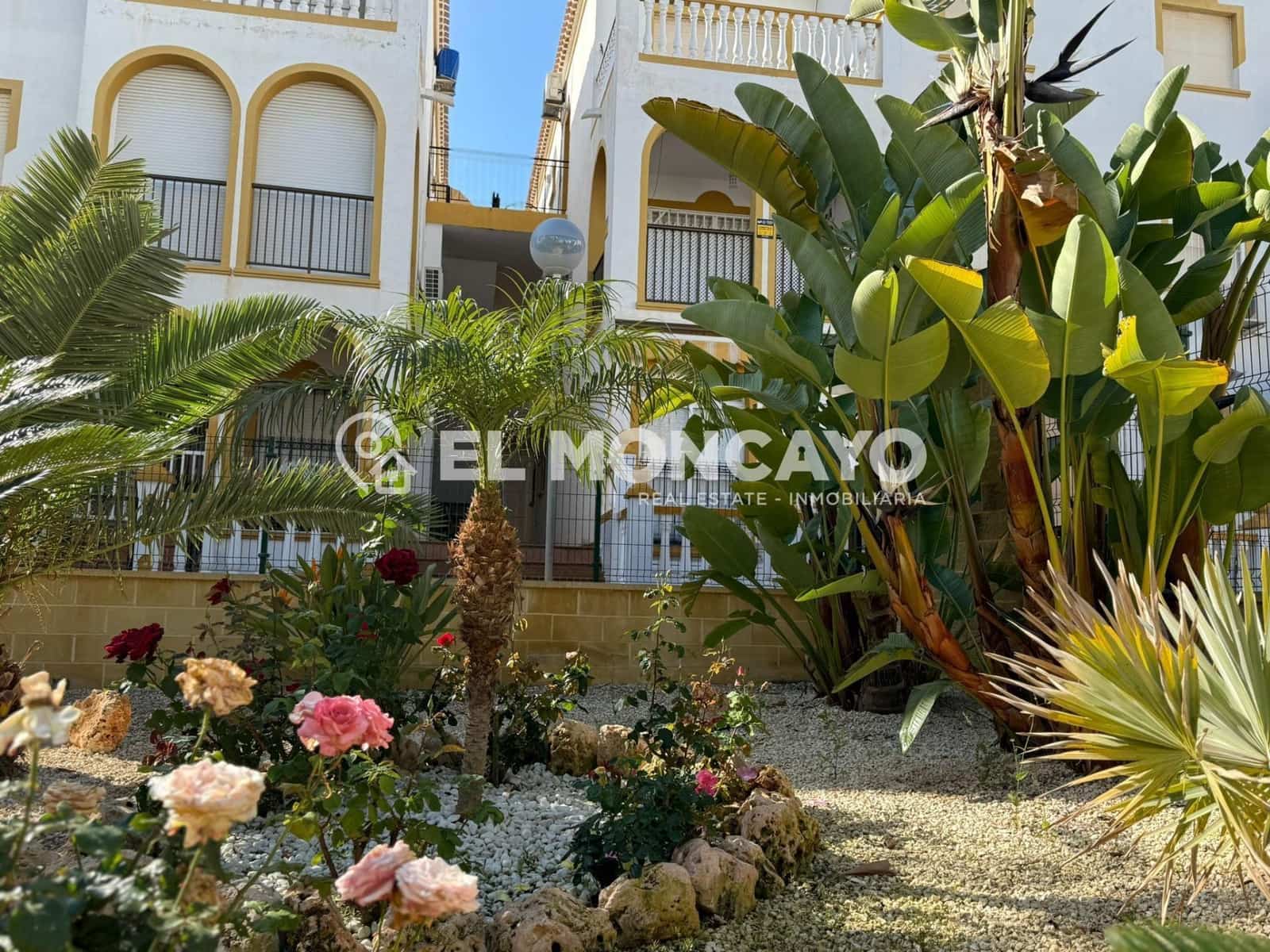 3 chambre Bungalow à vendre à La Mata avec piscine - 269 000 € (Ref: 9128159)
