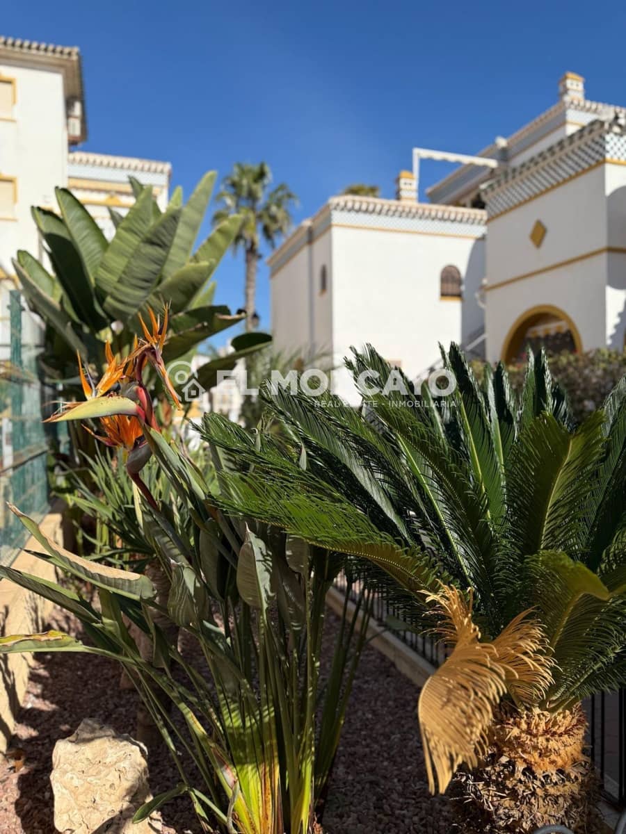 3 chambre Bungalow à vendre à La Mata avec piscine - 269 000 € (Ref: 9128159)