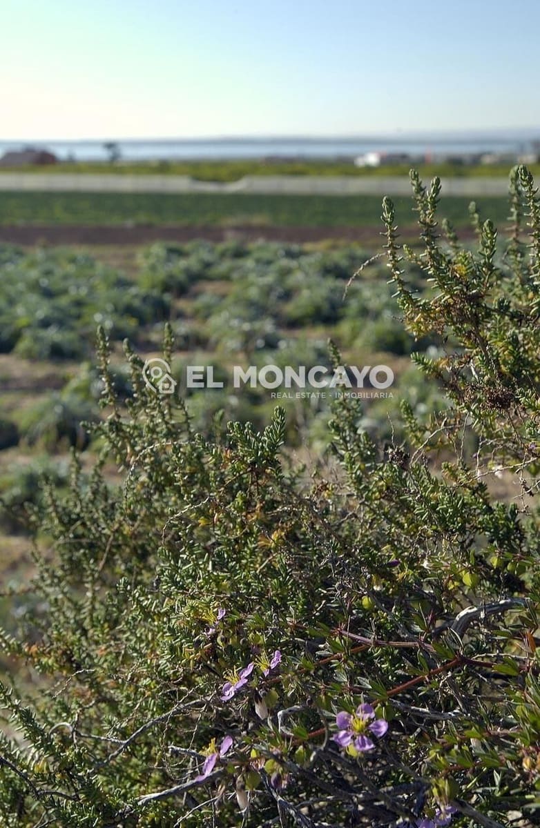 2 bedroom Villa for sale in Ciudad Quesada with pool - € 195,000 (Ref: 9163642)