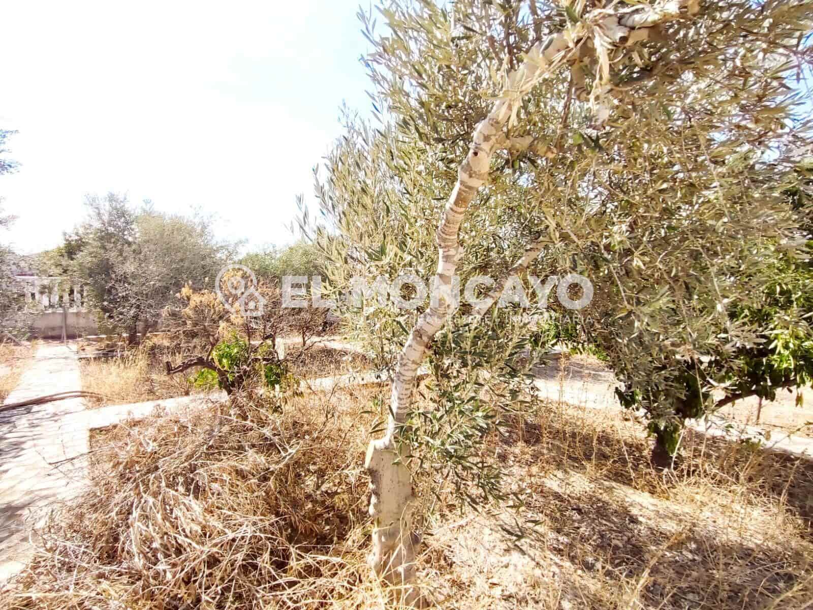 Byggegrund til salg i Ciudad Quesada - € 228.000 (Ref: 9206730)