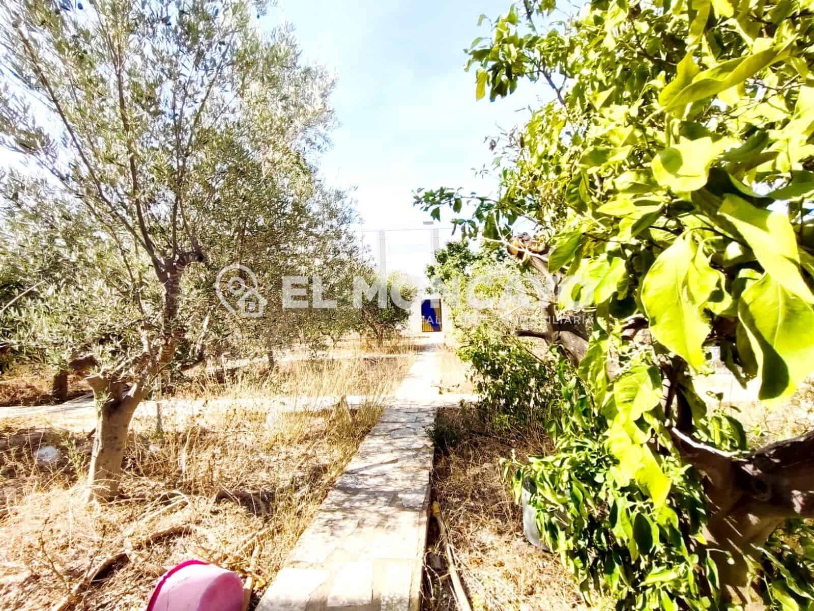 Byggegrund til salg i Ciudad Quesada - € 228.000 (Ref: 9206730)