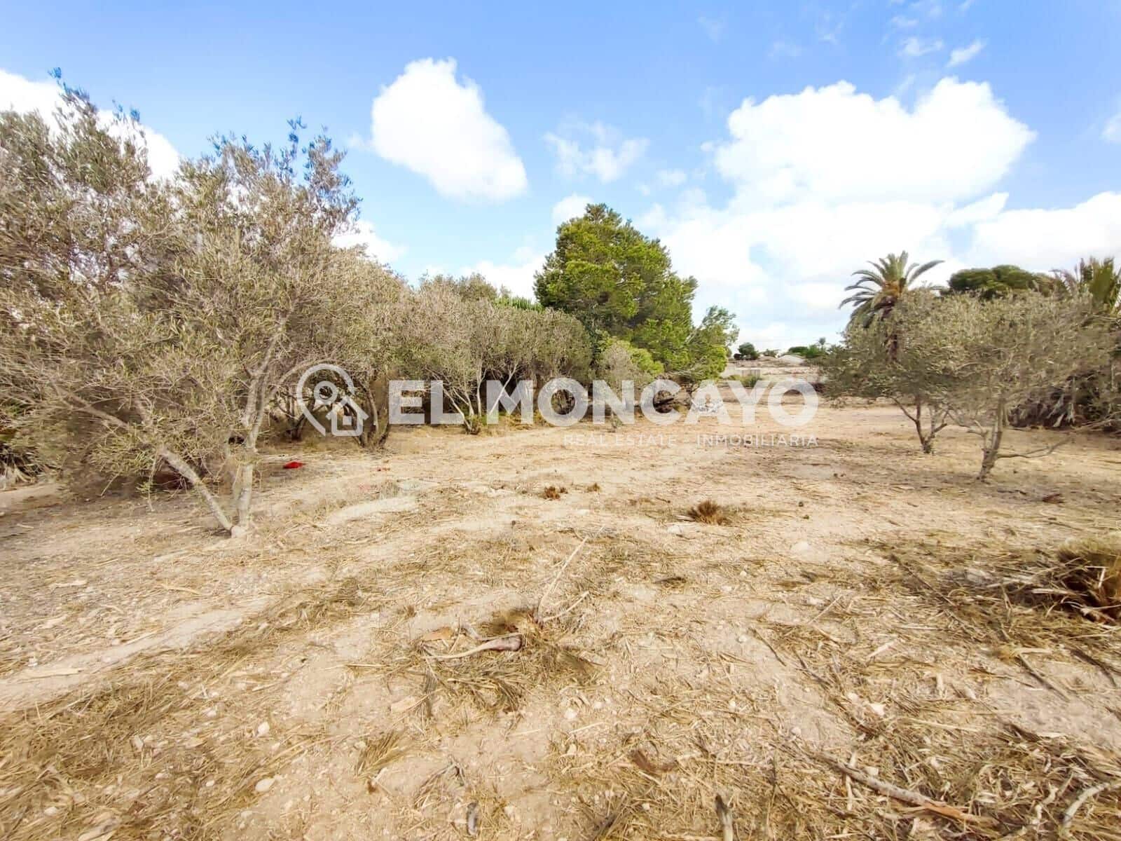 Bouwgrond te koop in La Marina - € 143.000 (Ref: 9236821)